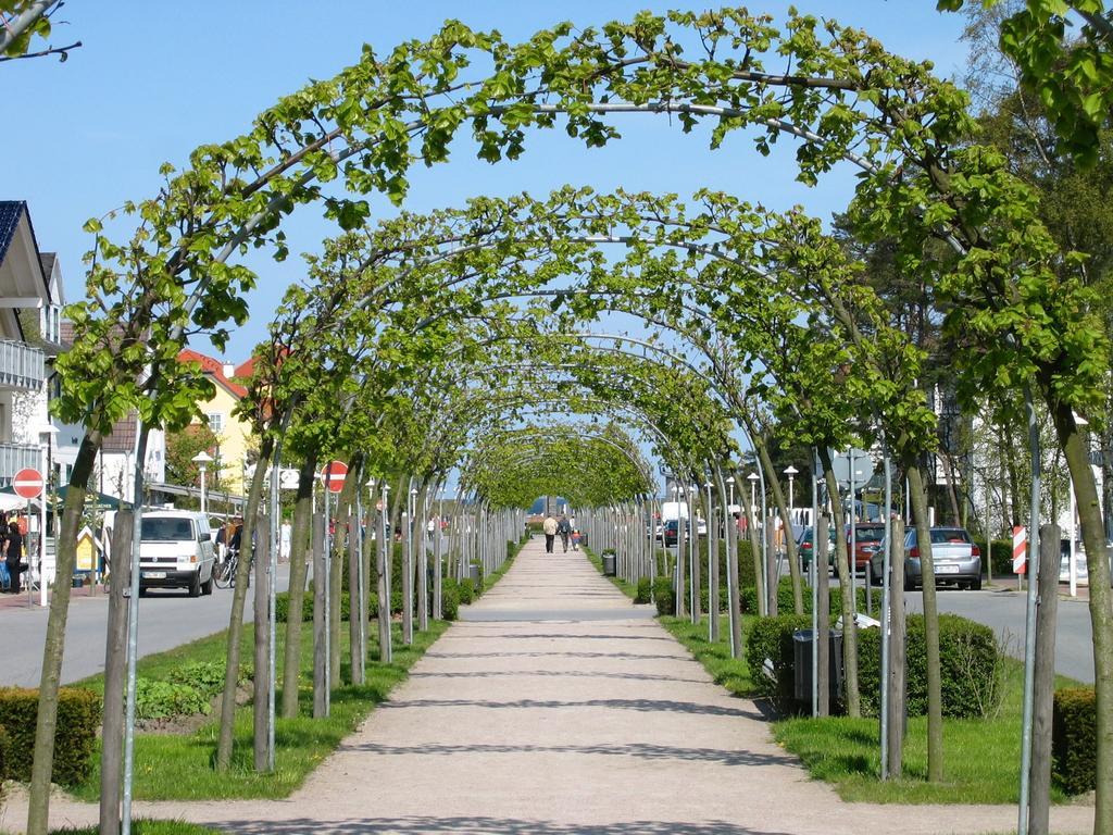 Traumferienwohnung Ostseebad Baabe - Ruegen Pokój zdjęcie